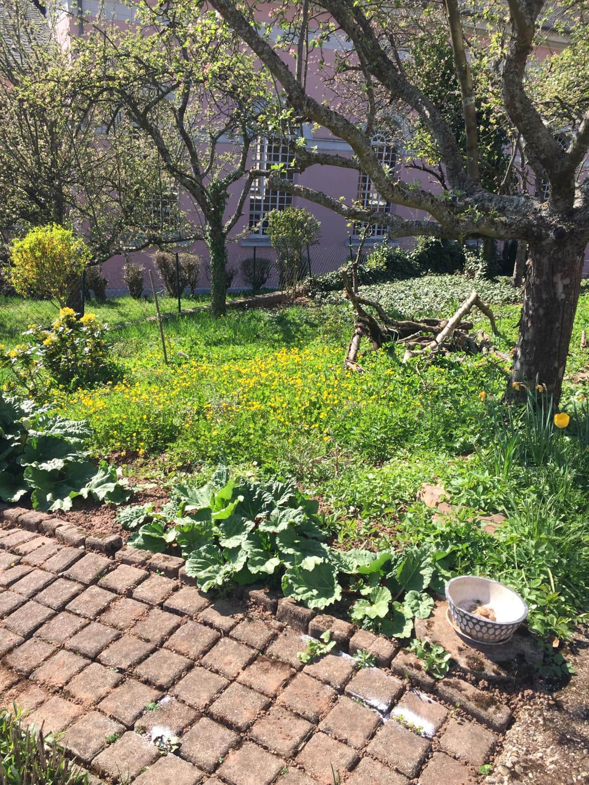 Blick in den Garten der Residenz