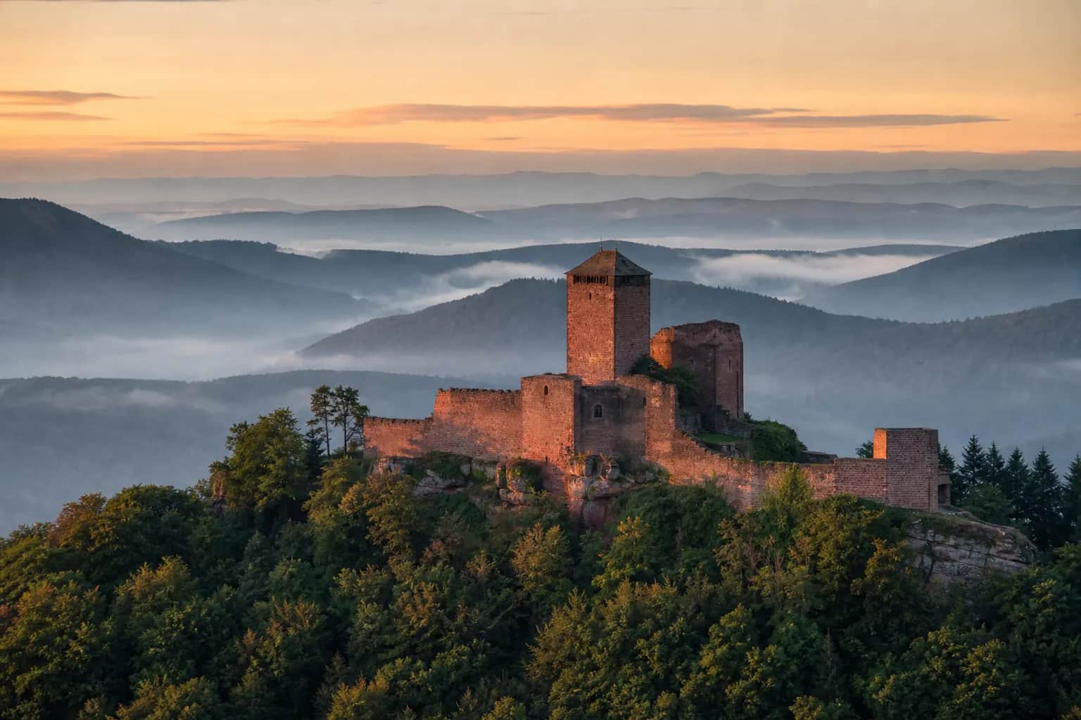 Burgruine über dem Pfälzerwald
