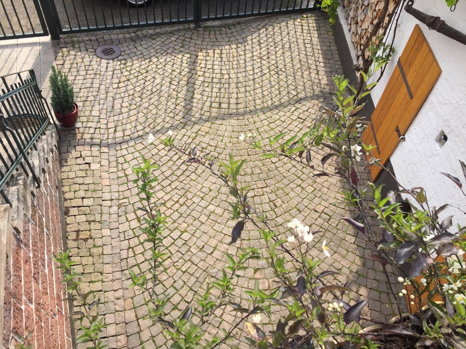Garten und Feuerstelle