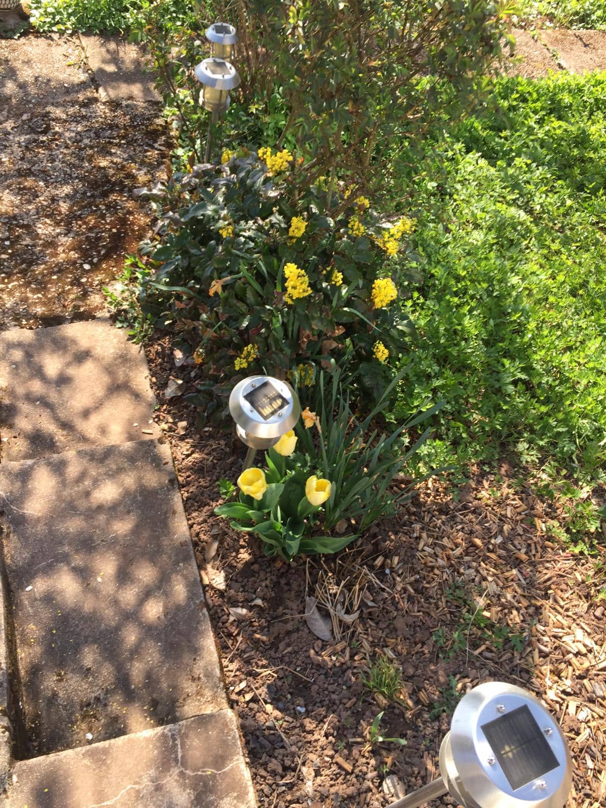 Garten und Grün