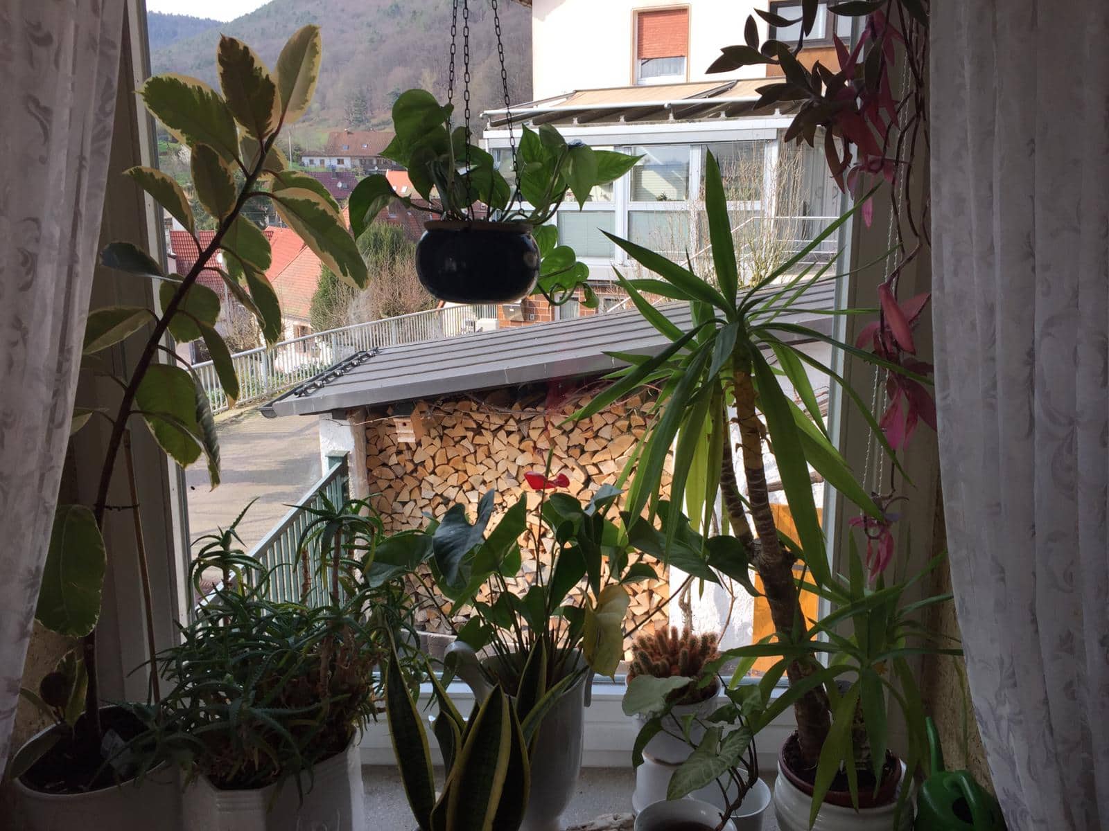 Küche der Wohnung Waldrose
