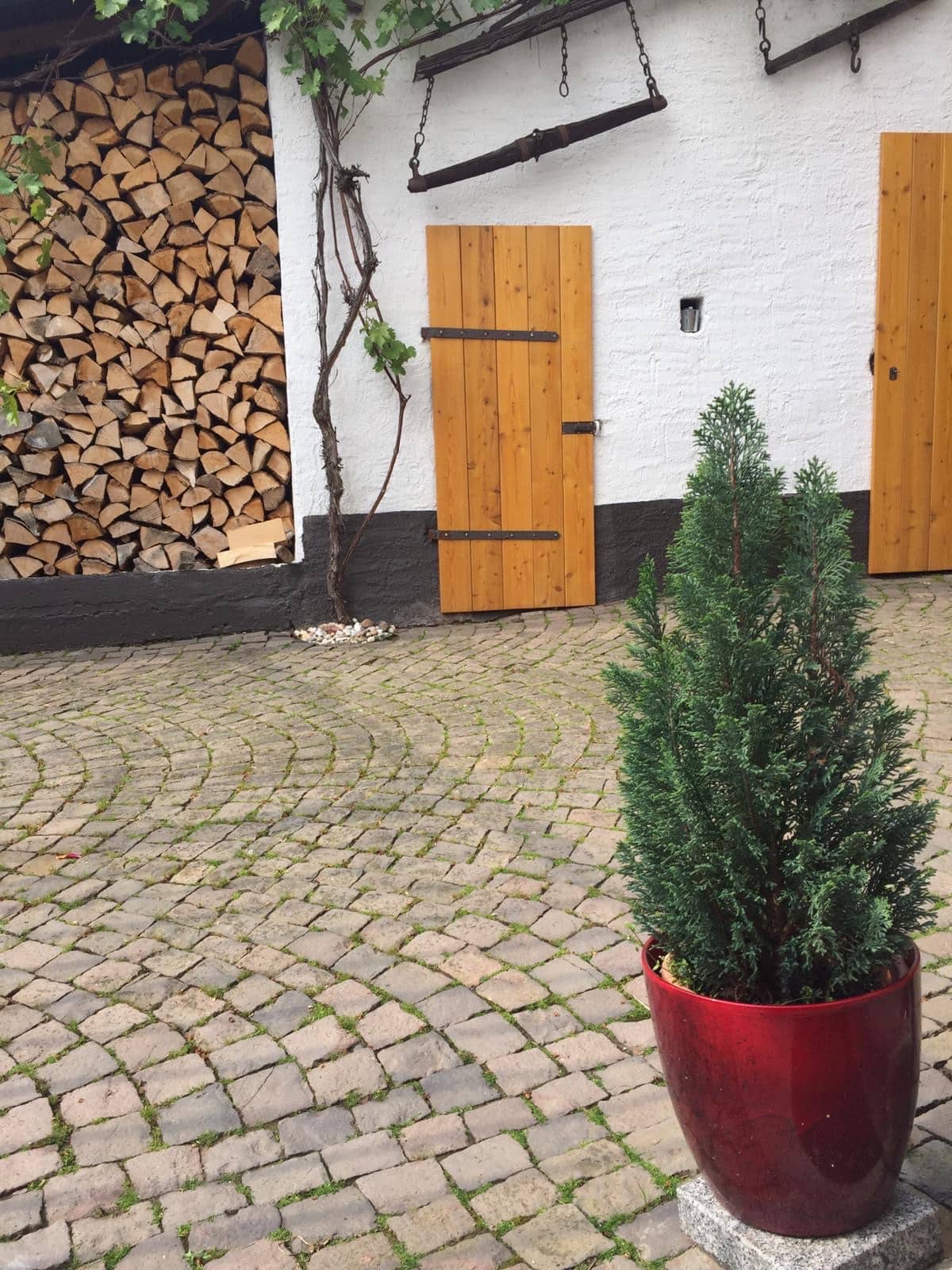 Außenansicht und Terrasse