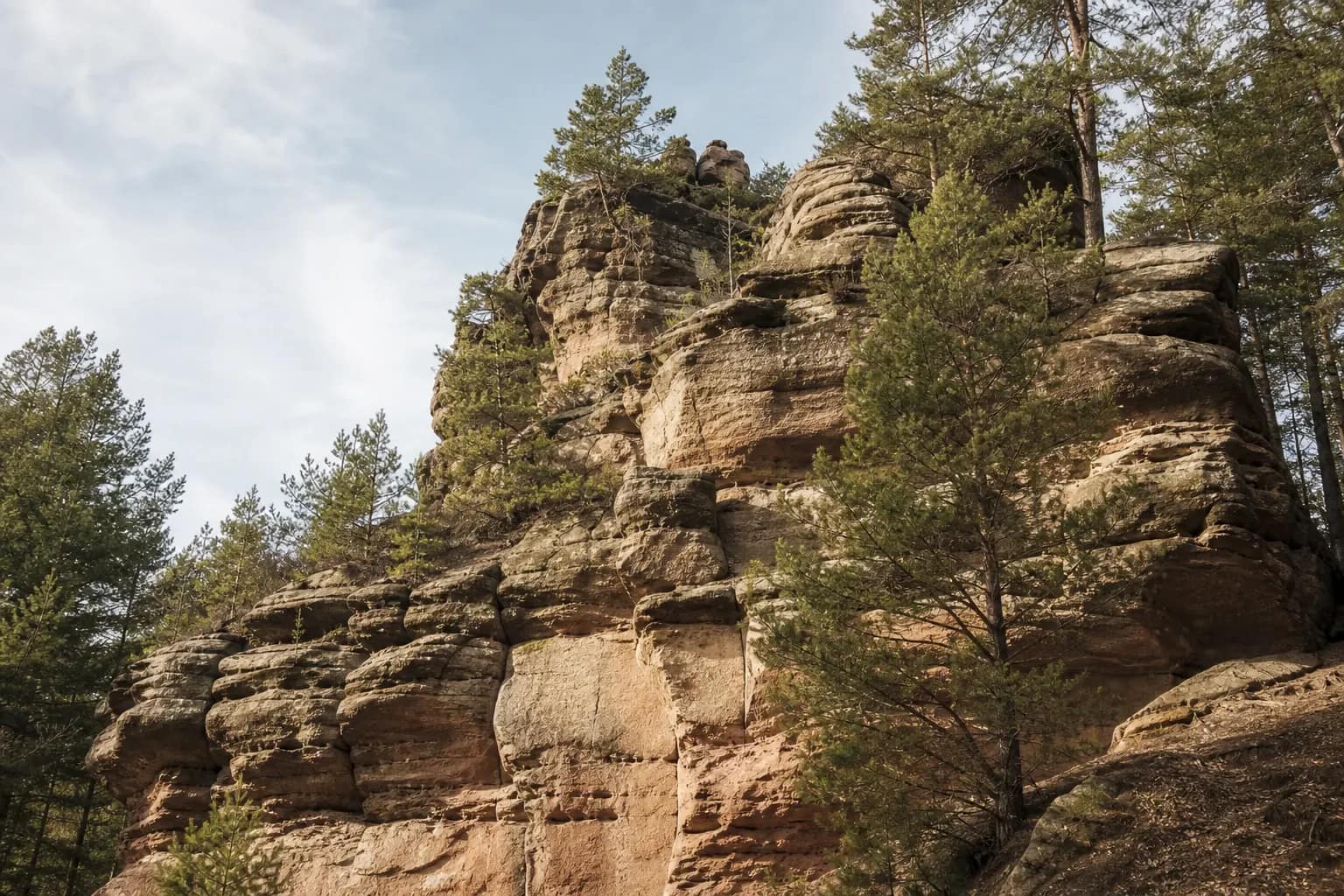 Sandsteinfelsen zum Klettern im Pfälzerwald